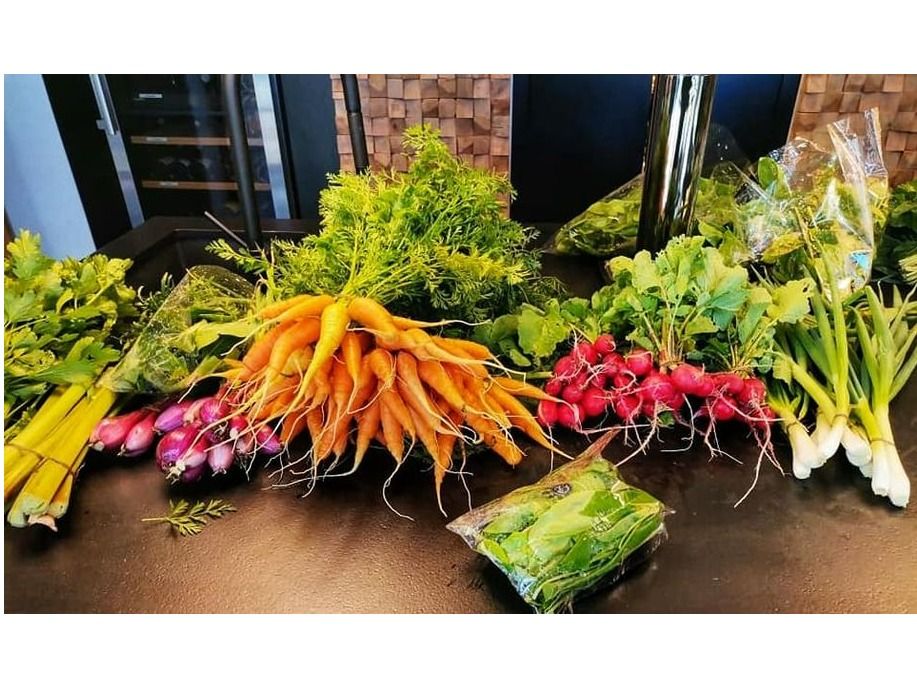 Le Poirier organic farm Diversified regenerative farming Knowledge