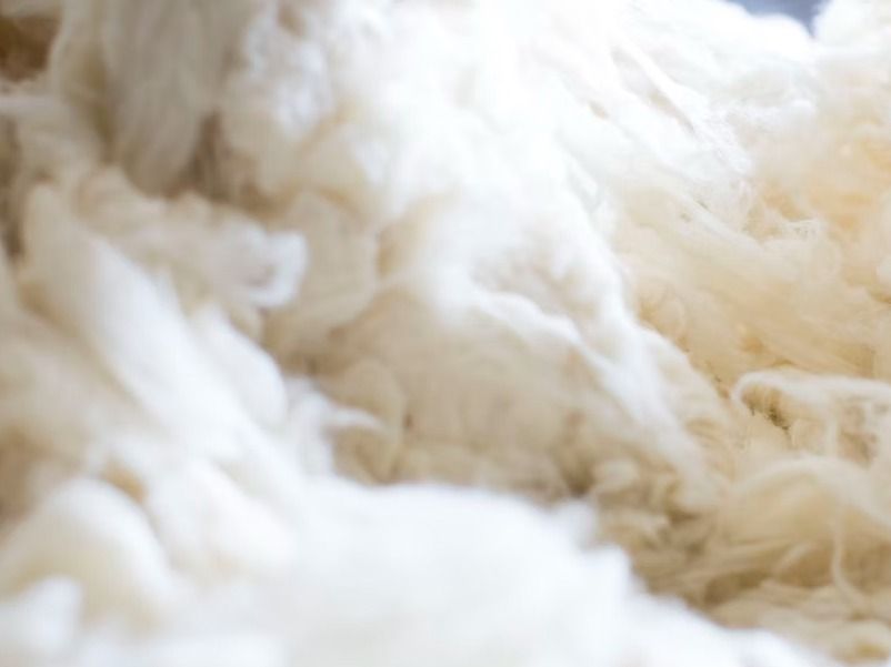 Recycling wool for to keep animal fibres in circulation